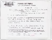 Thumbnail image of current specimen
