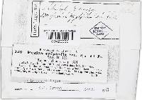 Image Associated With the Occurrence