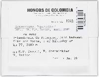 Image Associated With the Occurrence