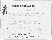 Thumbnail image of current specimen