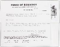 Thumbnail image of current specimen