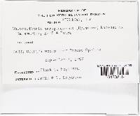 Image Associated With the Occurrence