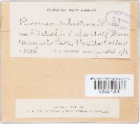 Image Associated With the Occurrence