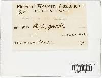 Image Associated With the Occurrence