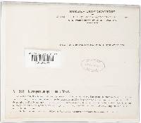 Image Associated With the Occurrence