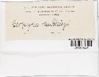 Image Associated With the Occurrence