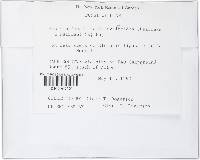 Thumbnail image of current specimen