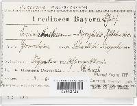 Image Associated With the Occurrence