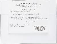 Image Associated With the Occurrence