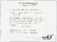 Thumbnail image of current specimen