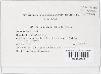 Image Associated With the Occurrence