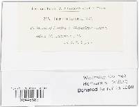 Image Associated With the Occurrence