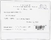 Image Associated With the Occurrence