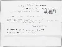 Image Associated With the Occurrence