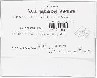 Image Associated With the Occurrence