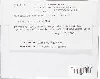 Image Associated With the Occurrence