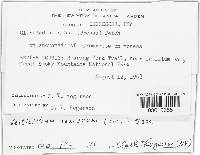 Image Associated With the Occurrence