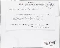 Image Associated With the Occurrence