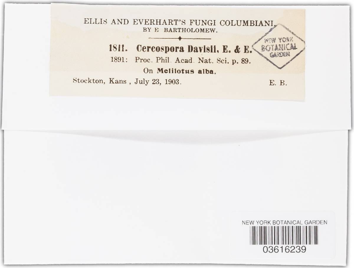 Cercospora davisii image