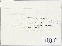 Image Associated With the Occurrence