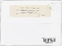 Thumbnail image of current specimen