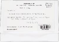 Image Associated With the Occurrence