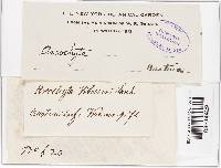 Image Associated With the Occurrence