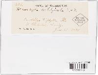 Image Associated With the Occurrence