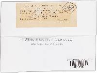 Image Associated With the Occurrence