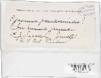 Image Associated With the Occurrence