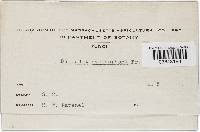 Image Associated With the Occurrence