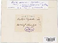 Image Associated With the Occurrence