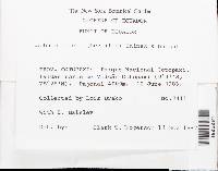 Image Associated With the Occurrence