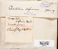 Image Associated With the Occurrence