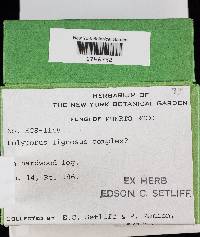 Thumbnail image of current specimen