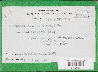 Image Associated With the Occurrence