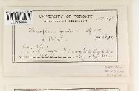 Hyphoderma probatum image