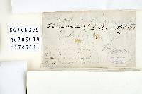 Thumbnail image of current specimen