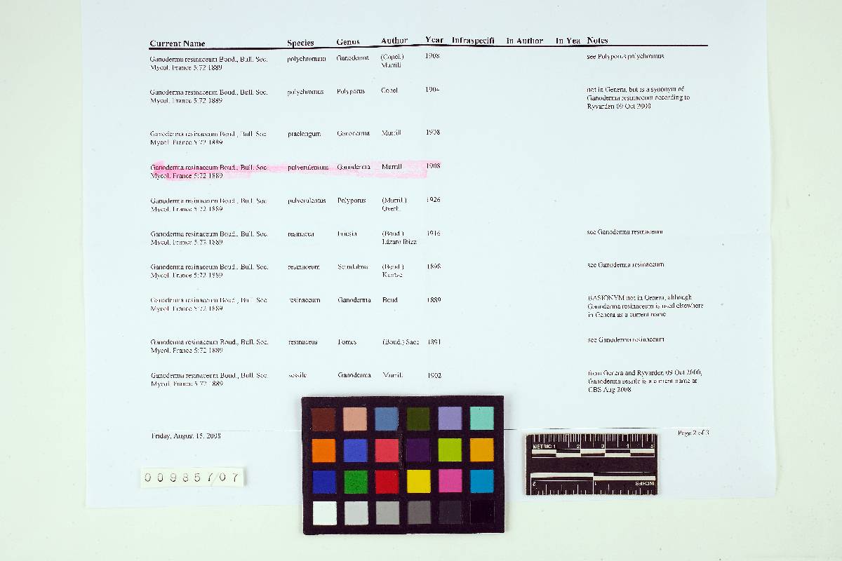 Ganoderma pulverulentum image