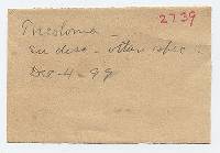 Thumbnail image of current specimen