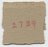 Thumbnail image of current specimen