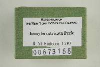 Thumbnail image of current specimen