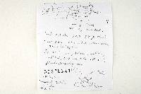 Thumbnail image of current specimen