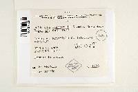 Thumbnail image of current specimen