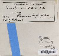 Image Associated With the Occurrence