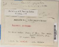 Image Associated With the Occurrence