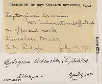 Image Associated With the Occurrence