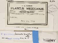 Image Associated With the Occurrence