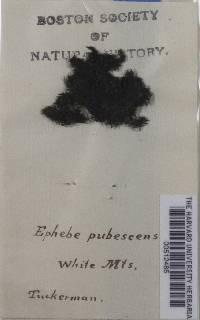 Image Associated With the Occurrence