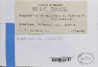 Image Associated With the Occurrence